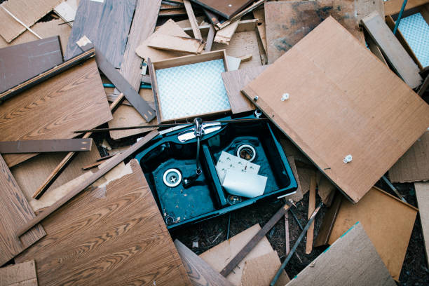 Best Moving and Downsizing Cleanouts  in Clyde, NC